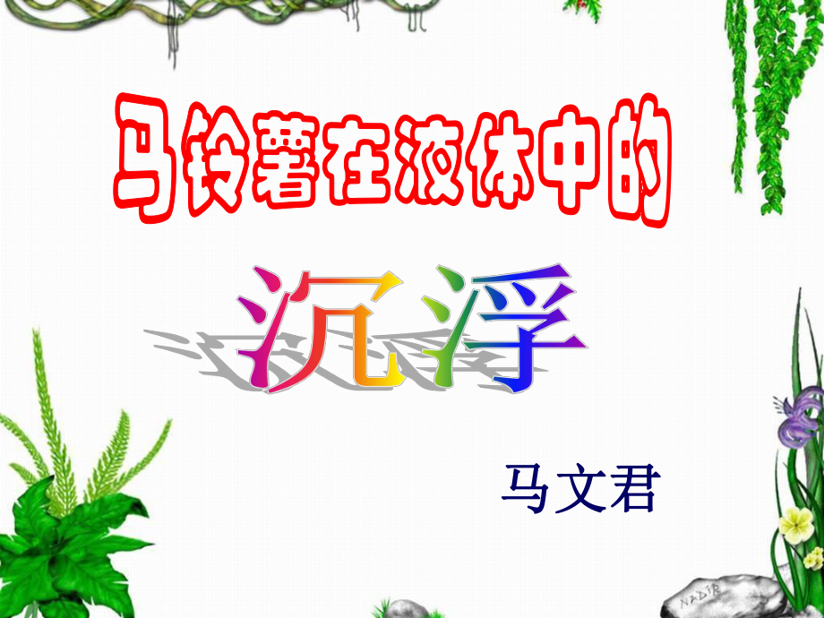 马文君（马铃薯在液体中的沉浮）ppt课件.ppt_第1页