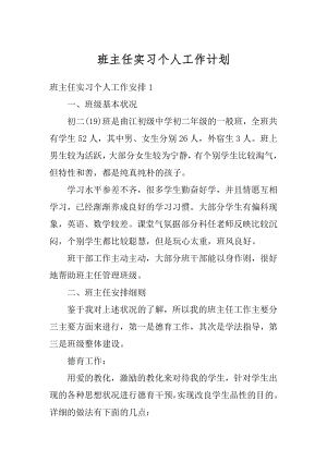 班主任实习个人工作计划例文.docx