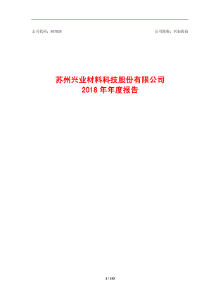 兴业股份：2018年年度报告.PDF