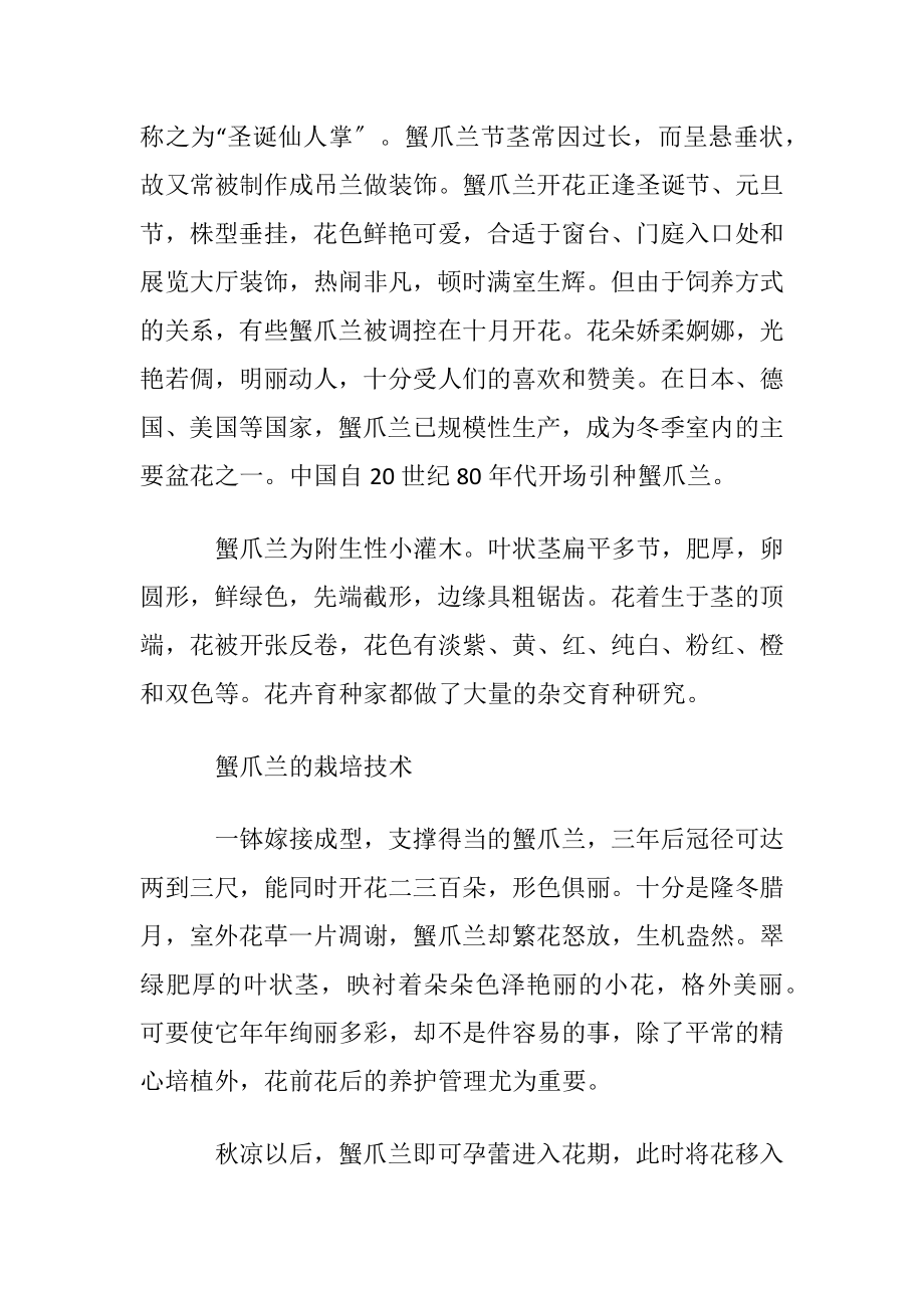 蟹爪兰的花语及生态习性介绍.docx_第2页