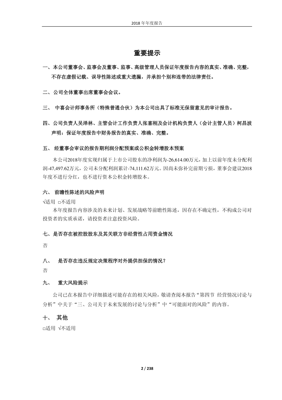 广晟有色：2018年年度报告.PDF_第2页