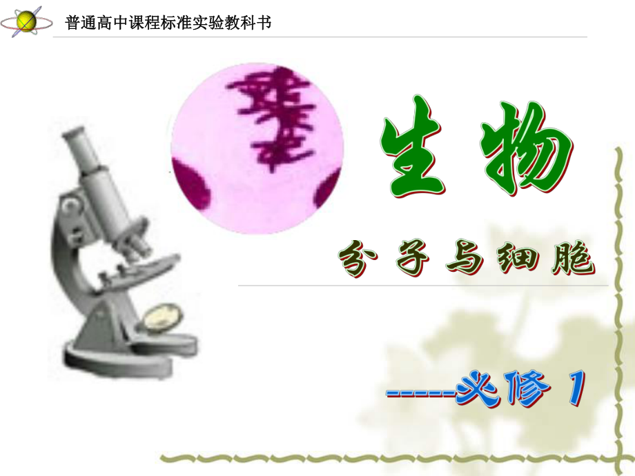 动物细胞的有丝分裂.ppt_第1页