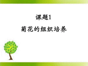 《菊花的组织培养》参考课件.ppt