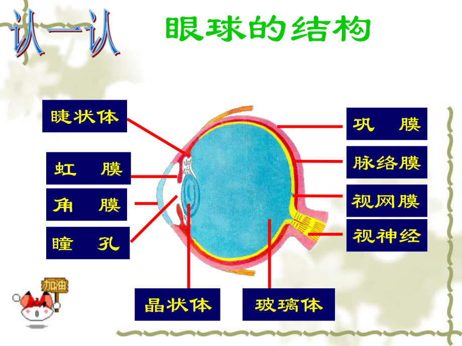 61人体对外界环境的感知（1）.ppt_第2页