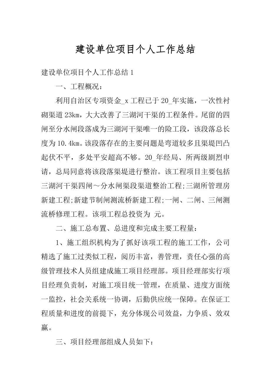 建设单位项目个人工作总结最新.docx_第1页