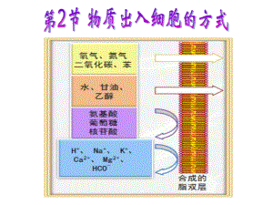 32物质出入细胞的方式.ppt