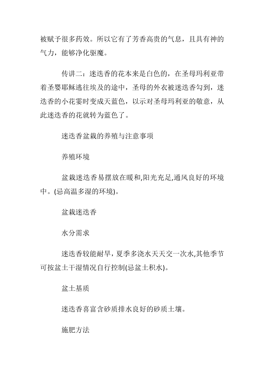 迷迭香的花语含义及传讲故事介绍.docx_第2页