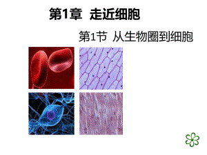 2015-9-1必修一第一章第一节从生物圈到细胞.pptx