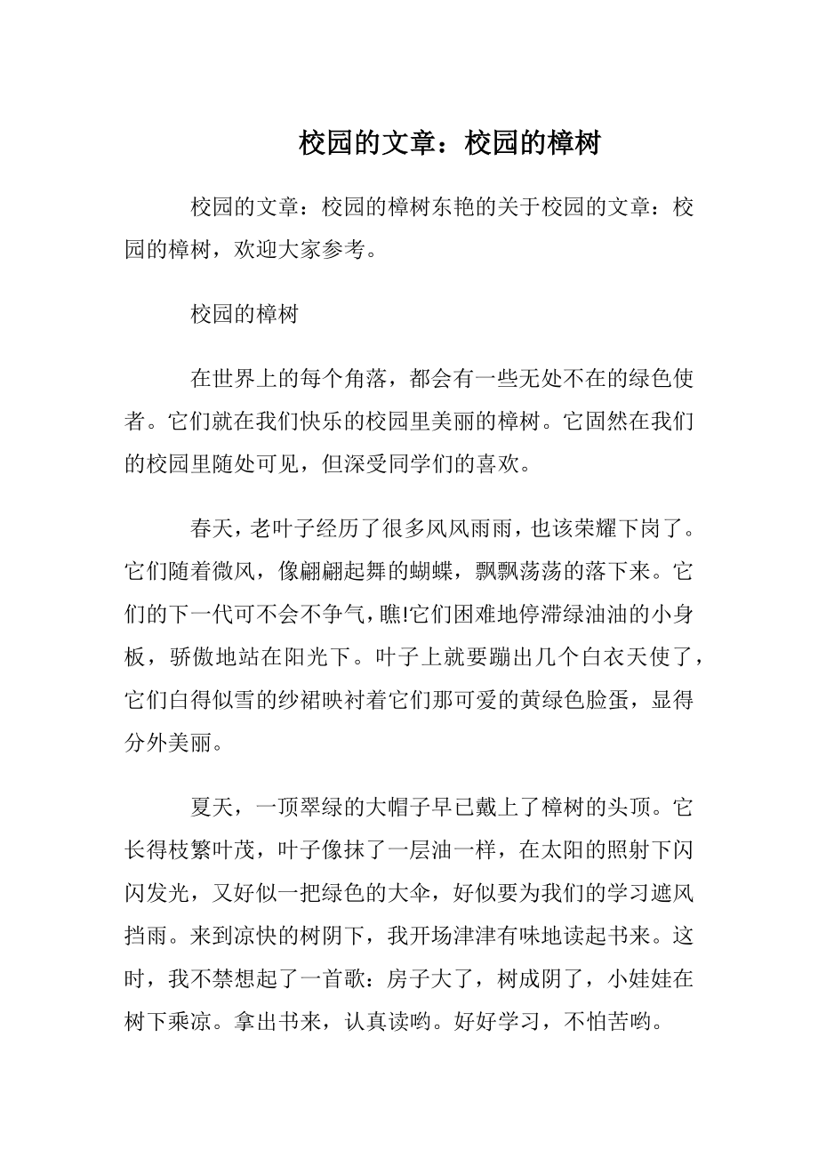 校园的文章：校园的樟树.docx_第1页