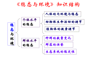 高中生物必修三11《细胞生活的环境》课件.ppt