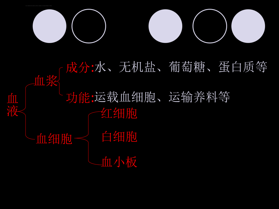 生物第10章人体内的物质运输和能量供给复习课件（苏教版七年级下）ppt.ppt_第2页