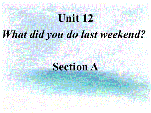 2013年新人教版七年级英语下册Unit12_What_did_you_do_last_weekend_Section_A课件.ppt