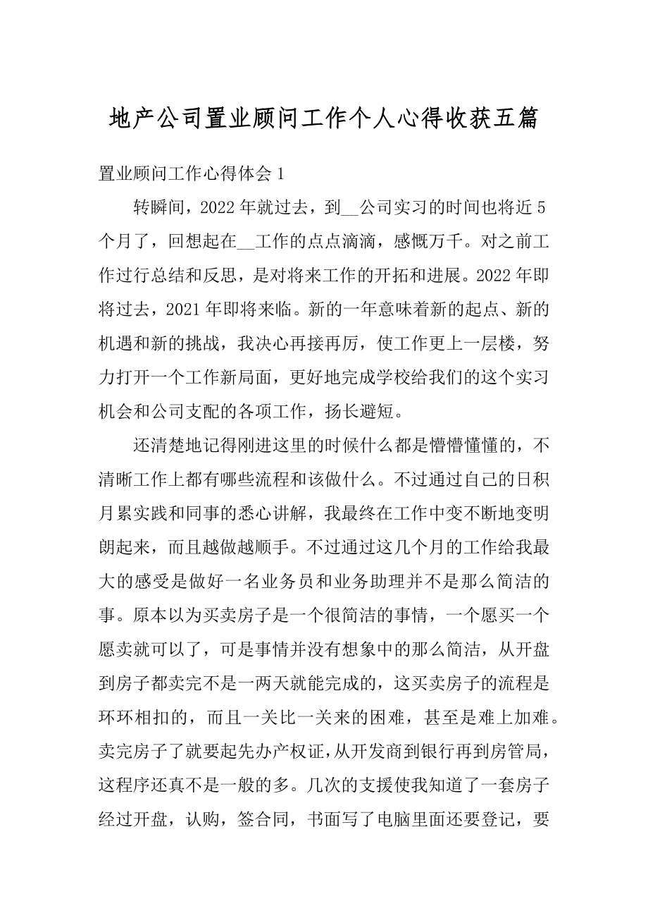 地产公司置业顾问工作个人心得收获五篇精编.docx_第1页