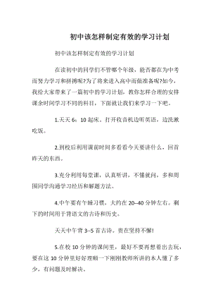 初中该怎样制定有效的学习计划.docx