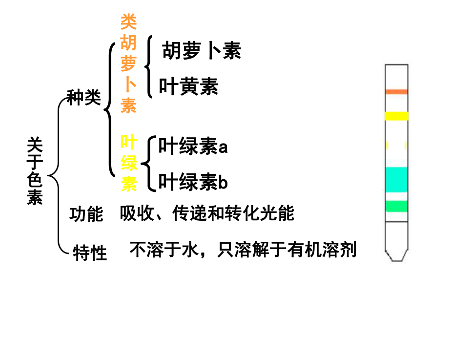 《光合作用的探究历程》1.ppt_第2页