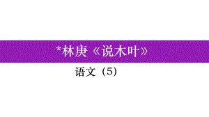 研究性学习活动（1）导论.pptx