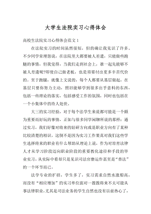 大学生法院实习心得体会范本.docx