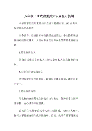 八年级下册政治重要知识点温习提纲.docx