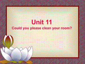 八年级英语Couldyoupleasecleanyourroom课件3.ppt