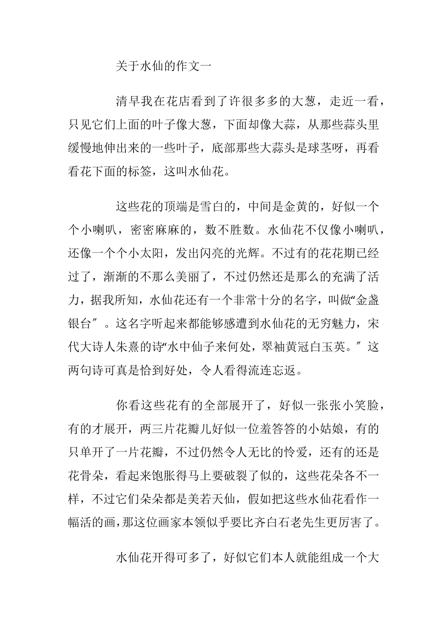 好看的水仙简笔画教程步骤图简单带颜色.docx_第2页