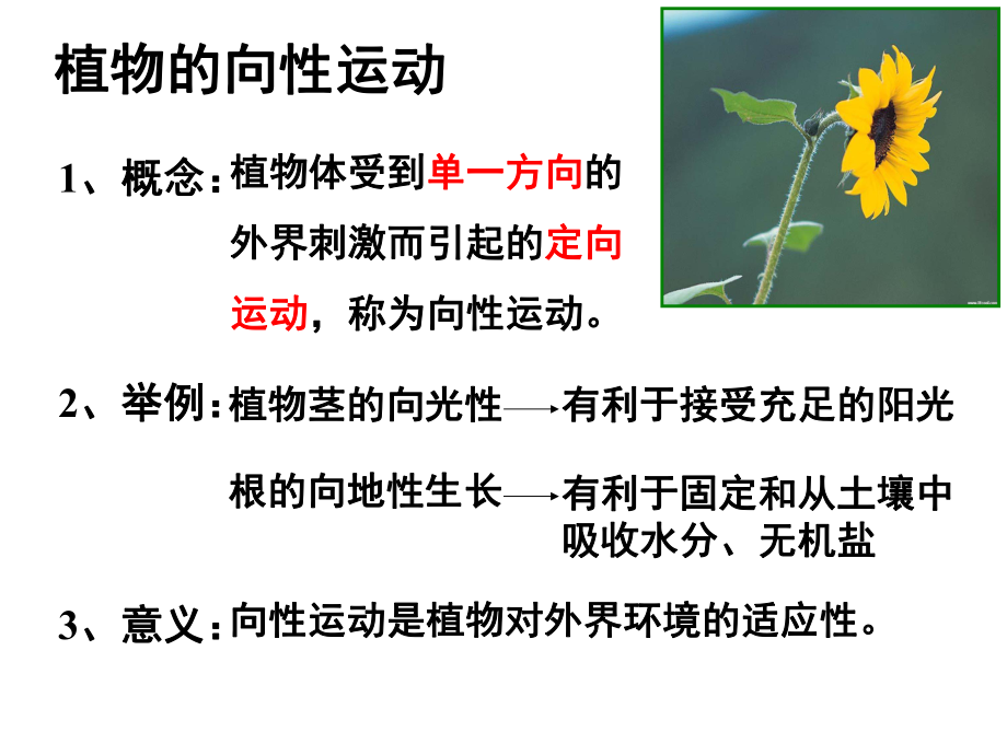 植物的激素调节ppt课件.ppt_第2页