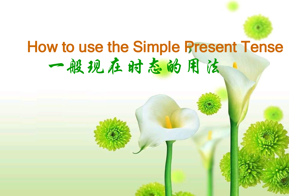 《一般现在时公开课》PPT课件(35).ppt_第2页