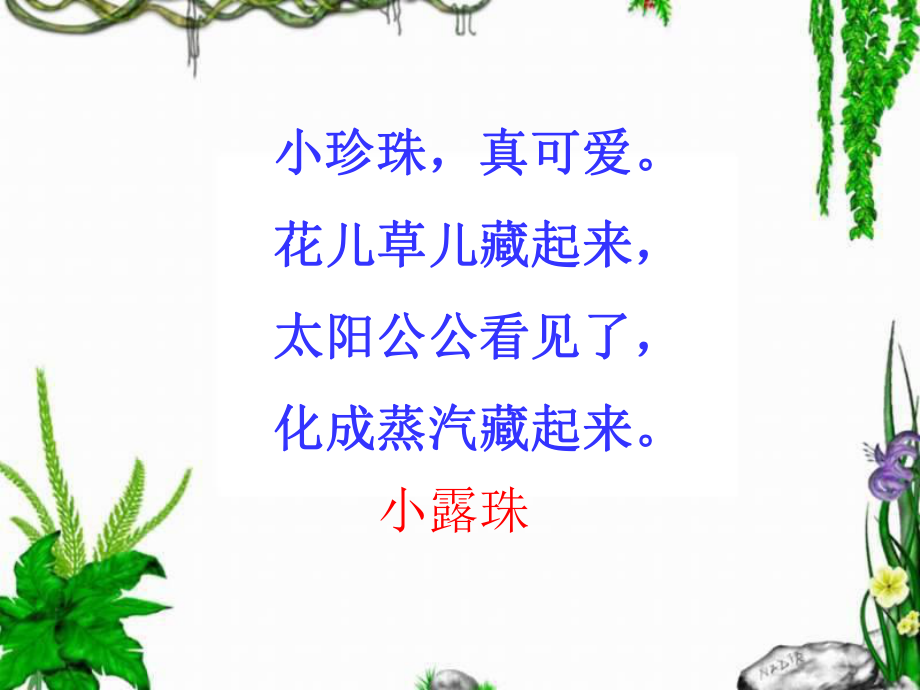 小露珠第一课时 (2).ppt_第1页