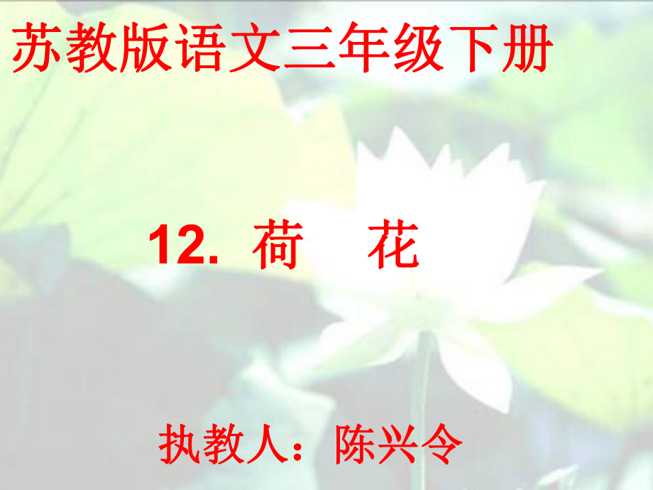 12《荷花》PPT完美课件88.pptx_第1页