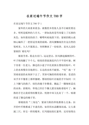 在家过端午节作文700字精编.docx