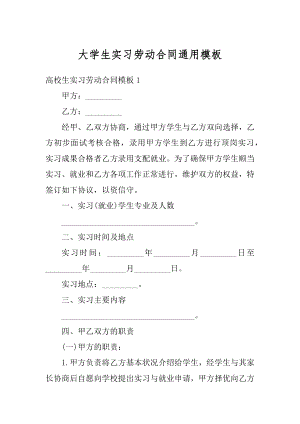 大学生实习劳动合同通用模板例文.docx