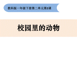 一年级下册科学课件-22《校园里的动物》-教科版(共13张PPT).pptx