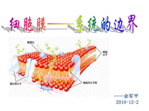 细胞膜——系统的边界(1).ppt