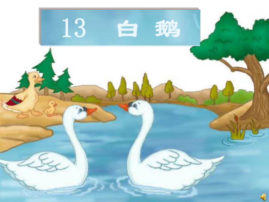 小学语文四年级上册13《白鹅》.ppt_第1页