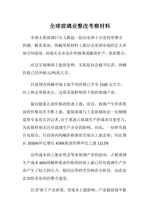 全球玻璃业整改考察材料-精品文档.docx