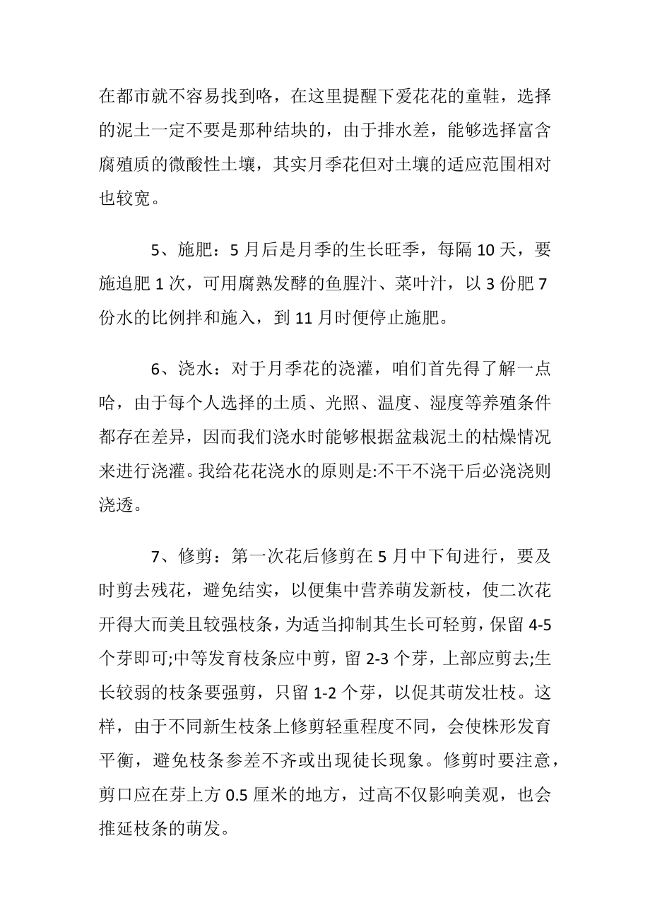 月季养殖的方法和注意事项介绍.docx_第2页