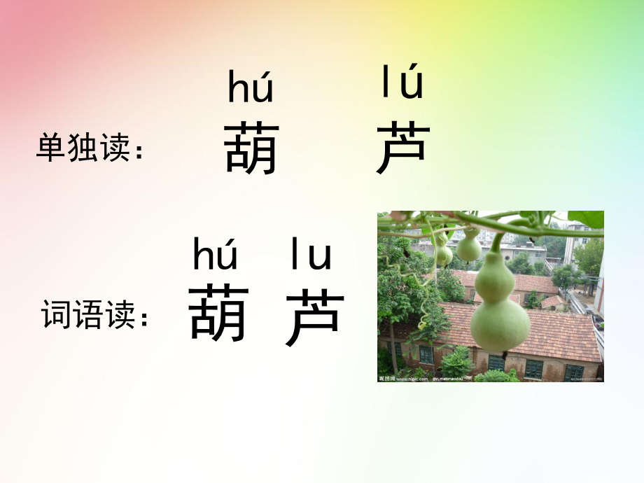 人教版二年级语文上册我要的是葫芦.ppt_第1页