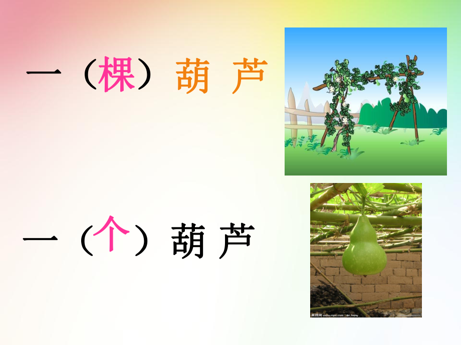 人教版二年级语文上册我要的是葫芦.ppt_第2页