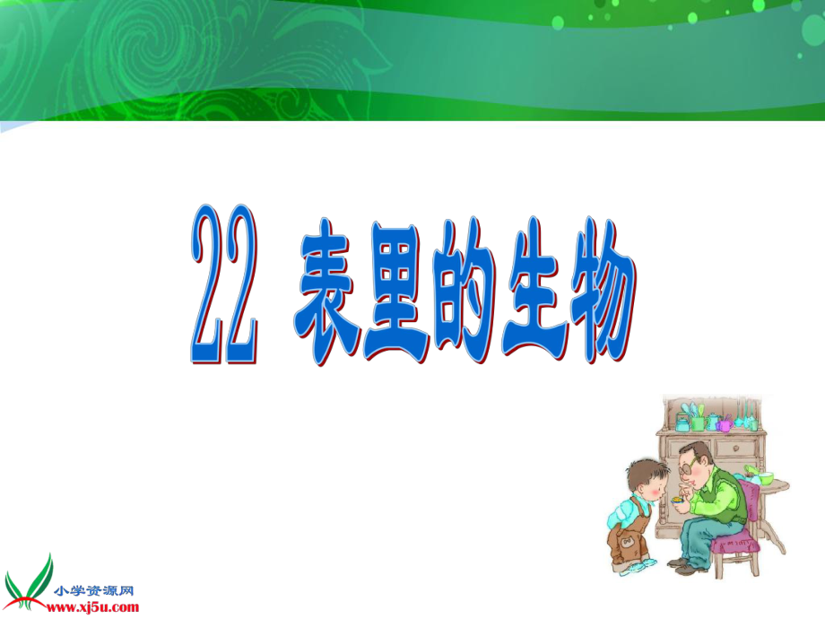 _22表里的生物_课件.ppt_第1页