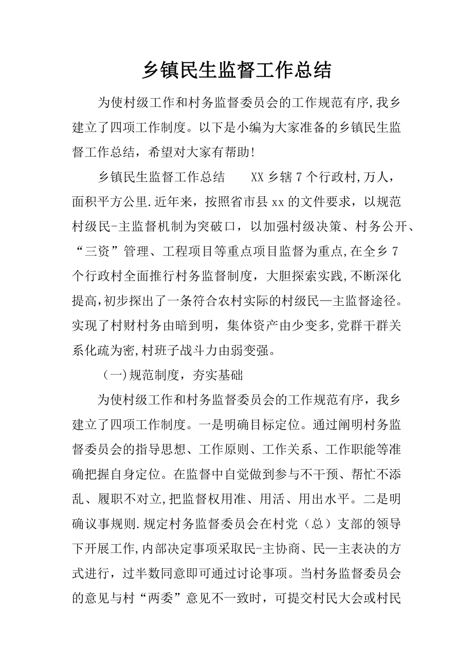 乡镇民生监督工作总结.docx_第1页