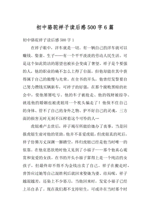 初中骆驼祥子读后感500字6篇优质.docx