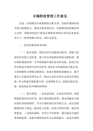 乡镇财政管理工作意见.docx