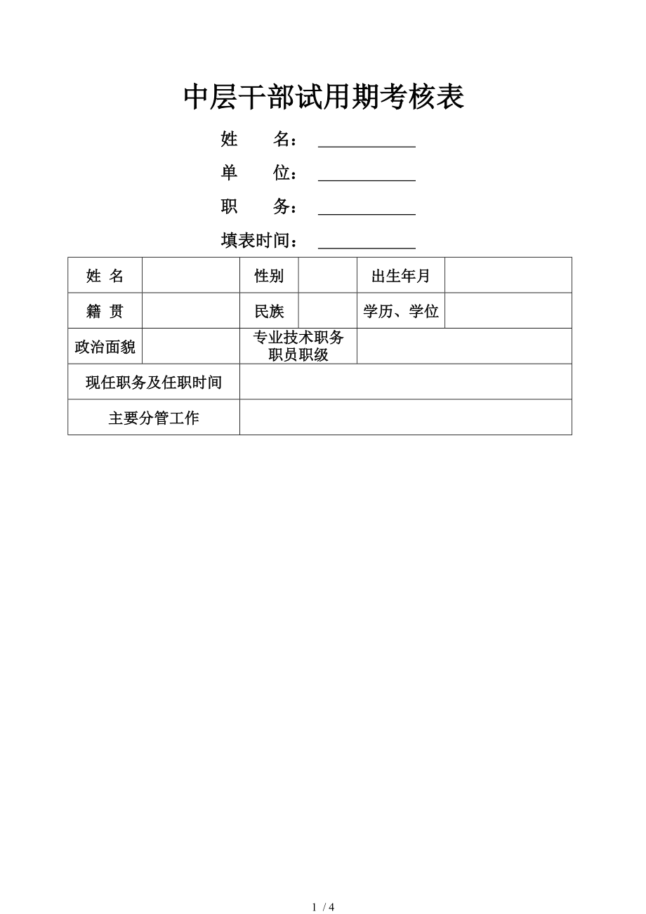 中层干部试用期考核表.doc_第1页