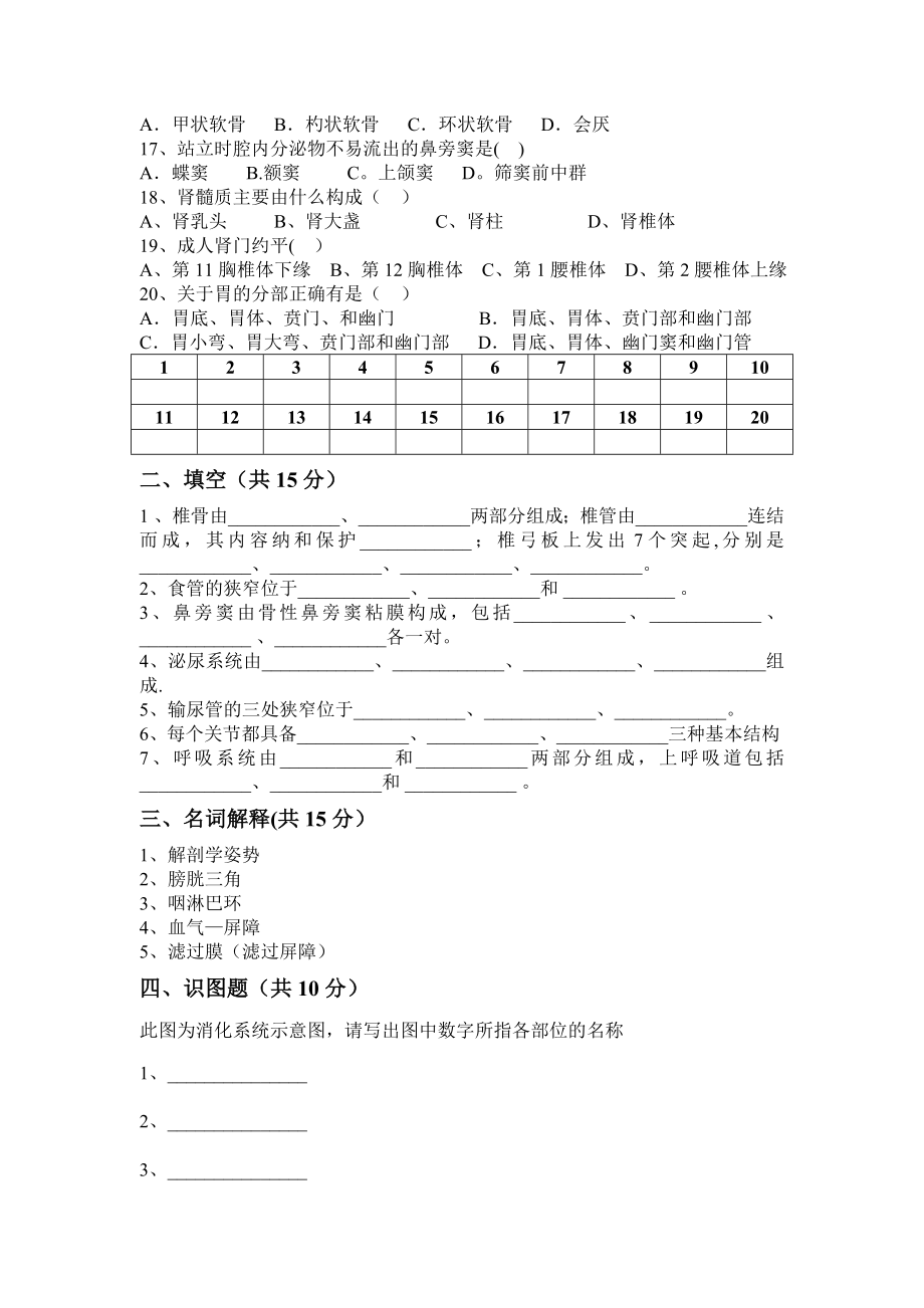 中职解剖学基础期中试卷.doc_第2页