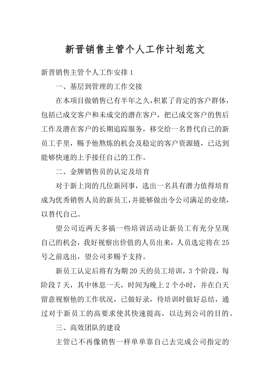 新晋销售主管个人工作计划范文范本.docx_第1页