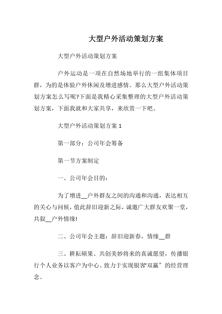 大型户外活动策划方案_1.docx_第1页