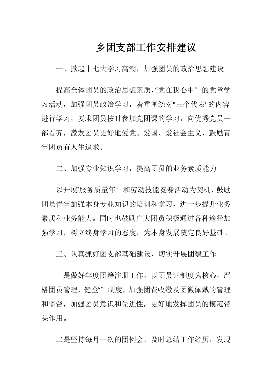 乡团支部工作安排建议.docx_第1页