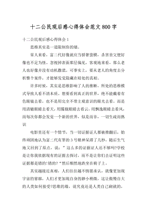 十二公民观后感心得体会范文800字精选.docx