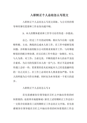 入职转正个人总结怎么写范文.docx