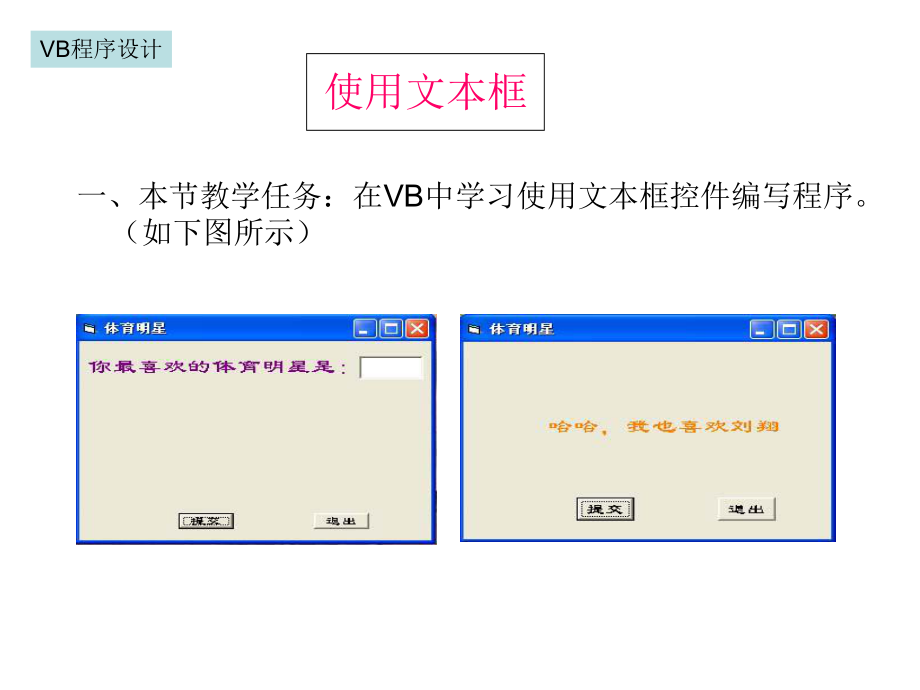 VB程序——使用文本框.ppt_第1页