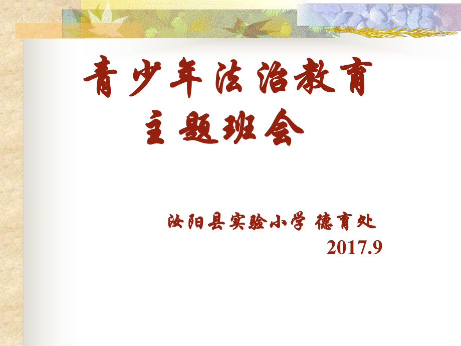 小学生法治教育ppt课件.ppt_第1页